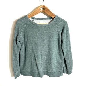 Pact L Sage Green Crewneck Sweater